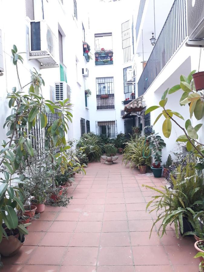 Apartamento Pleno Centro Wallada Córdoba Eksteriør billede